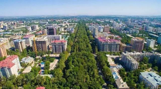 美哉！吉爾吉斯斯坦｜“一花一園一城”系列國(guó)家園藝宣傳片